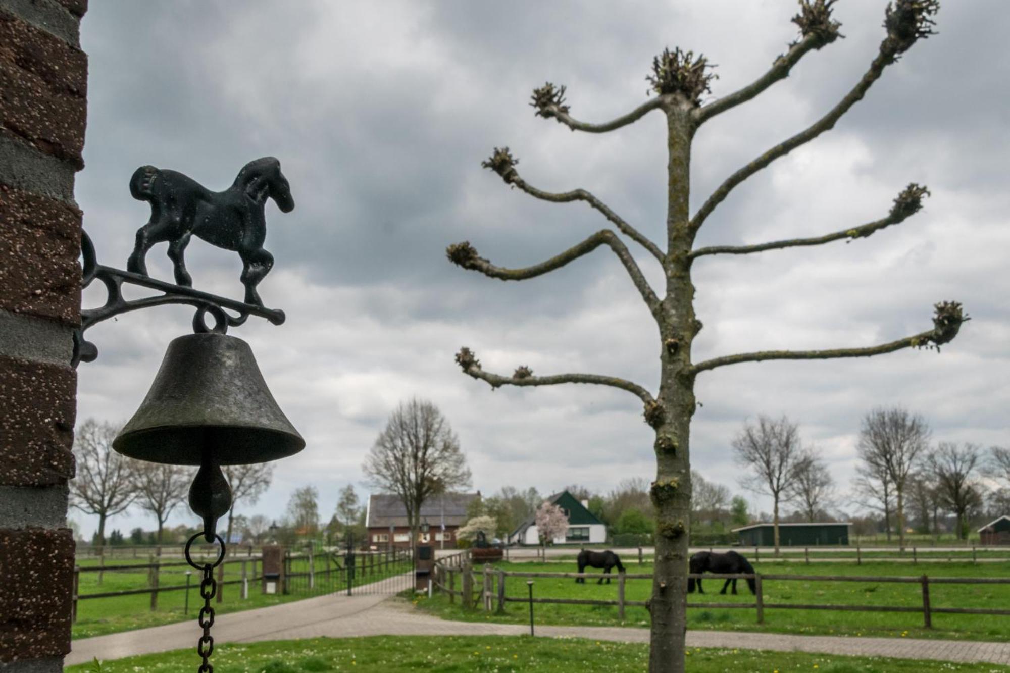 Recreatieoord Hippique Villa Westendorp Oda fotoğraf